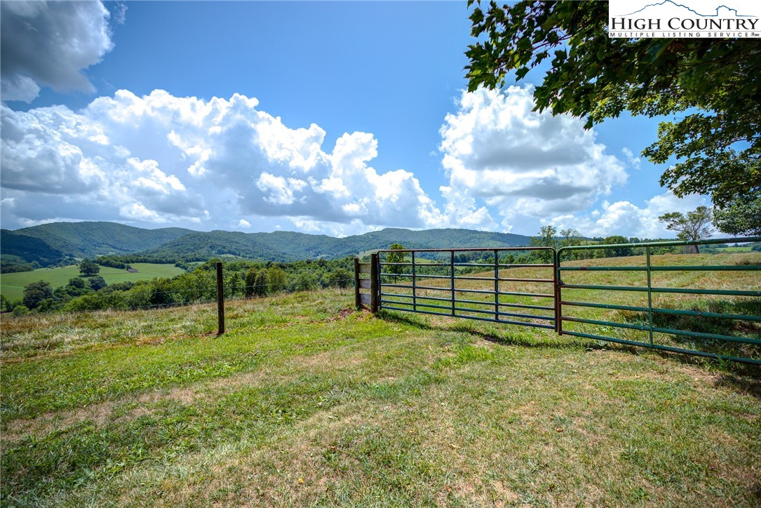 356 Irwin Farm Lane Sparta, NC 28675 - Photo 6 of 50 a view of a garden with an outdoor space