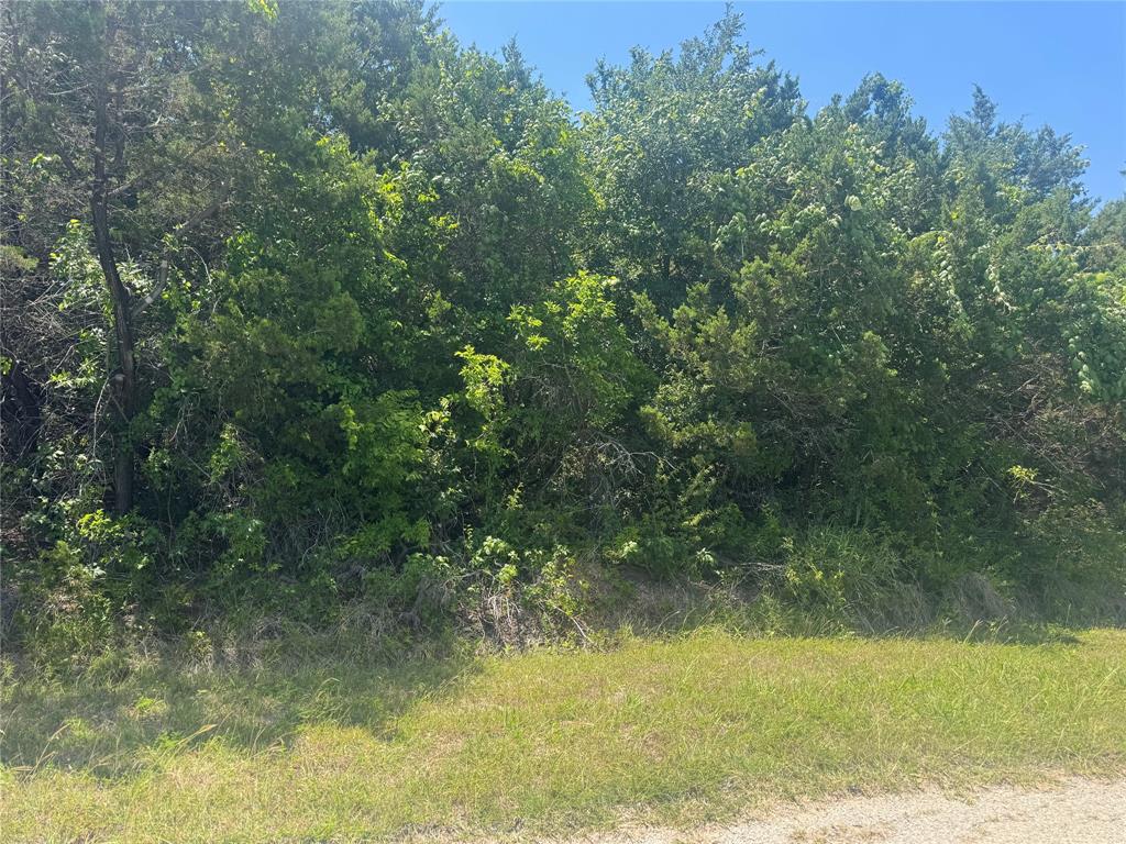 36059 Cedar Ridge Drive Whitney, TX 76692 - Photo 4 of 6