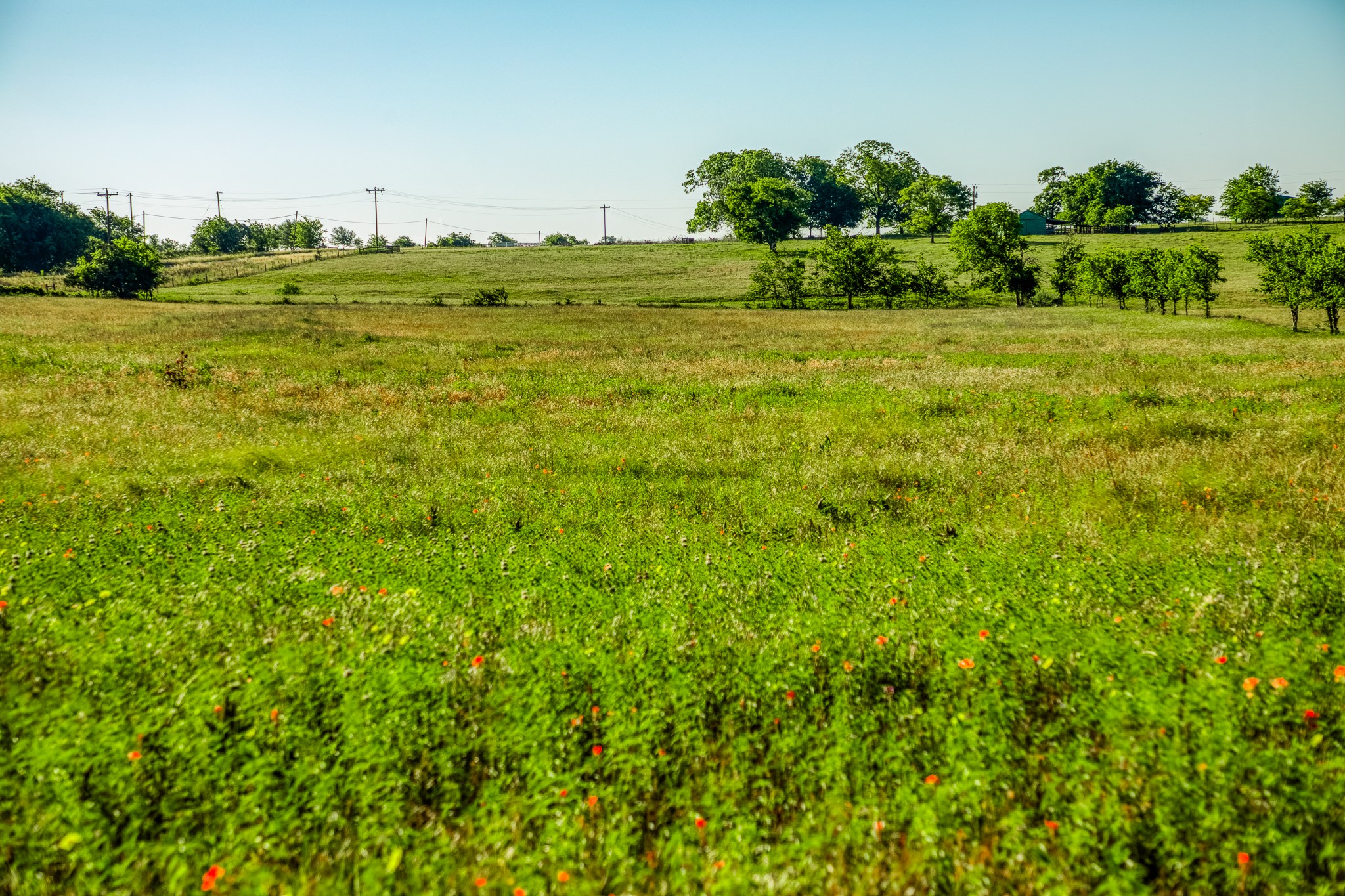 5005 Fuchs Road Burton, TX 77835 - Photo 6 of 8 a view of a garden with an outdoor space