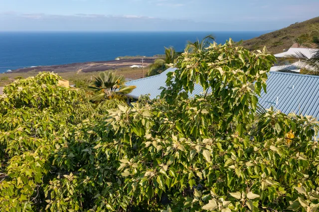 an aerial view of a house with a yard and fountain