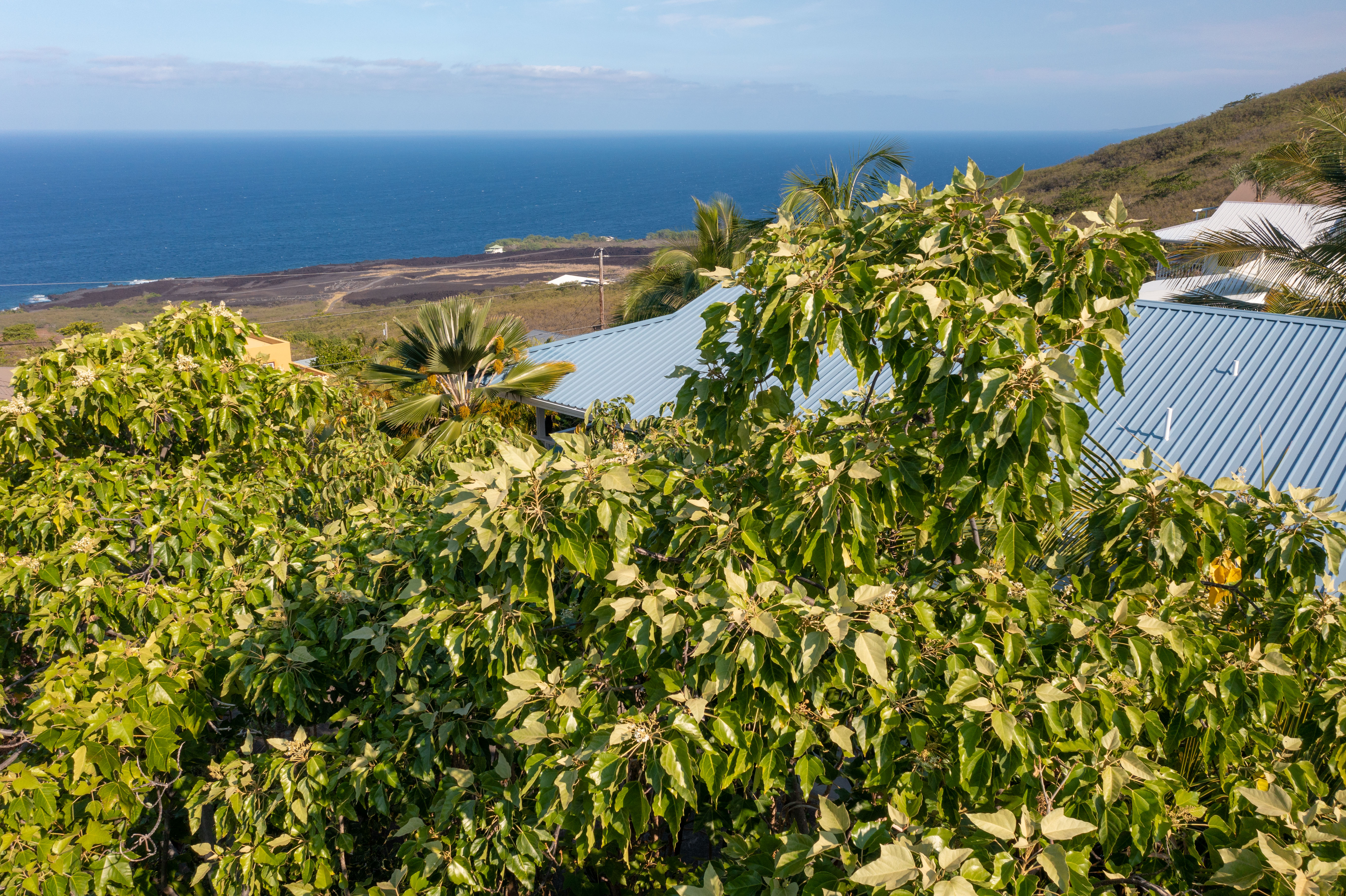 174 Guava Road Captain Cook, HI 96704 - Photo 10 of 16