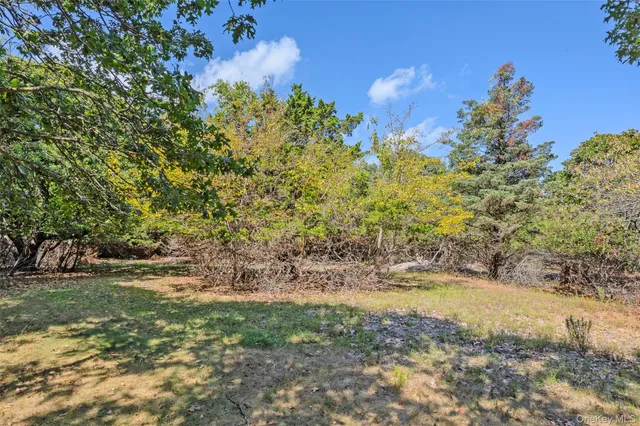 a view of a yard with a tree