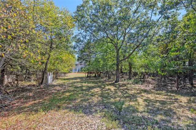 a view of a yard with trees