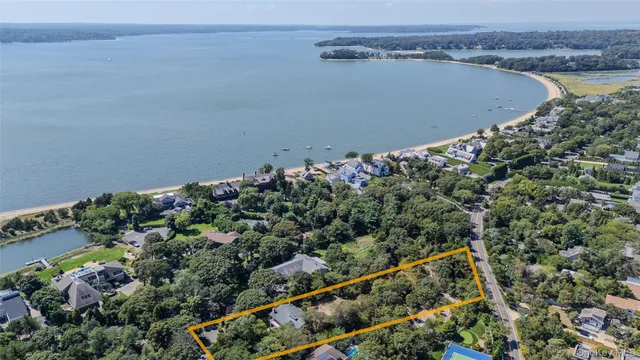 a view of a yard with a plant