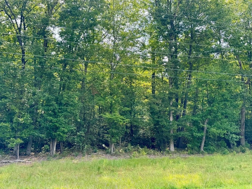 Lot 18 Bay Quarter Road Heathsville, VA 22473 - Photo 1 of 3