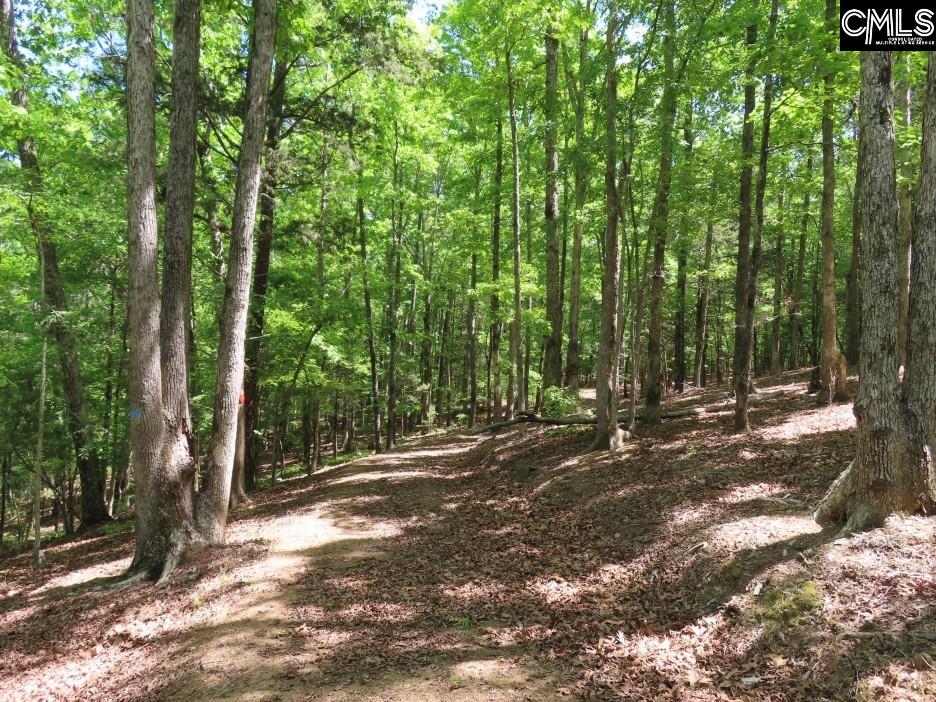 201 State Rd S-20-99 Blair, SC 29015 - Photo 29 of 61