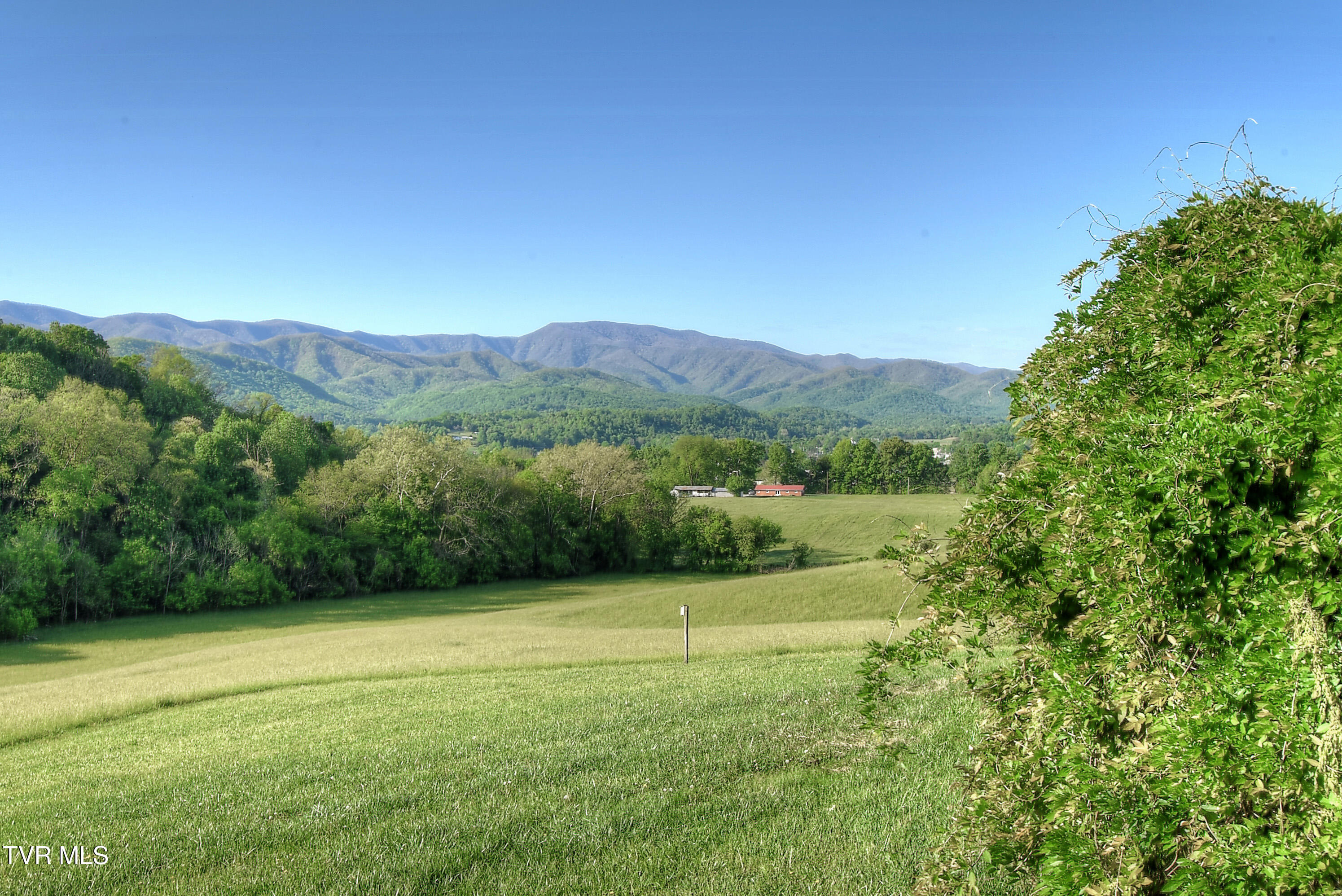 1942 Bailey Bridge Road Limestone, TN 37681 - Photo 14 of 93 9