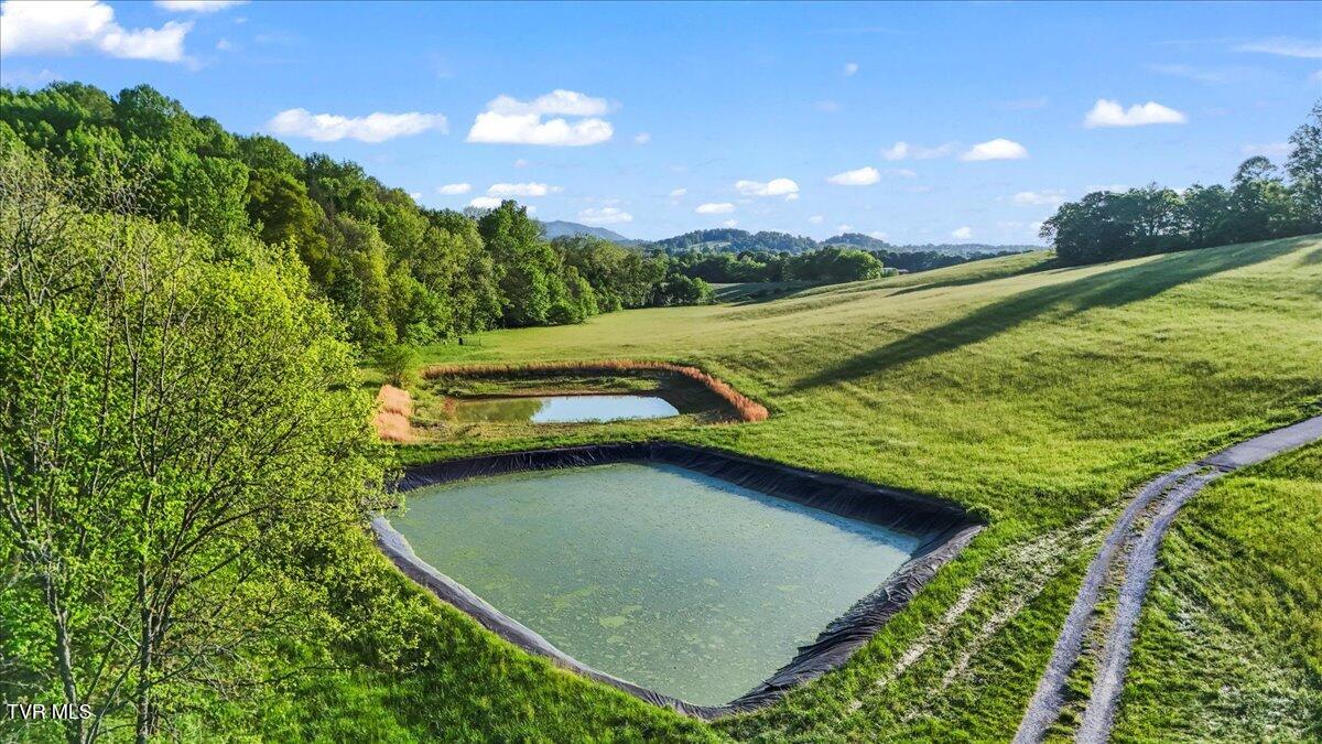 1942 Bailey Bridge Road Limestone, TN 37681 - Photo 82 of 93 45-DJI_20230821155625_0024_D