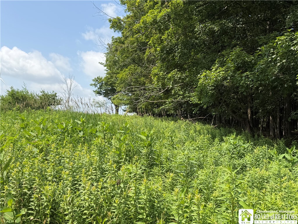 2751 Canfield Road Cohocton, NY 14826 - Photo 18 of 50