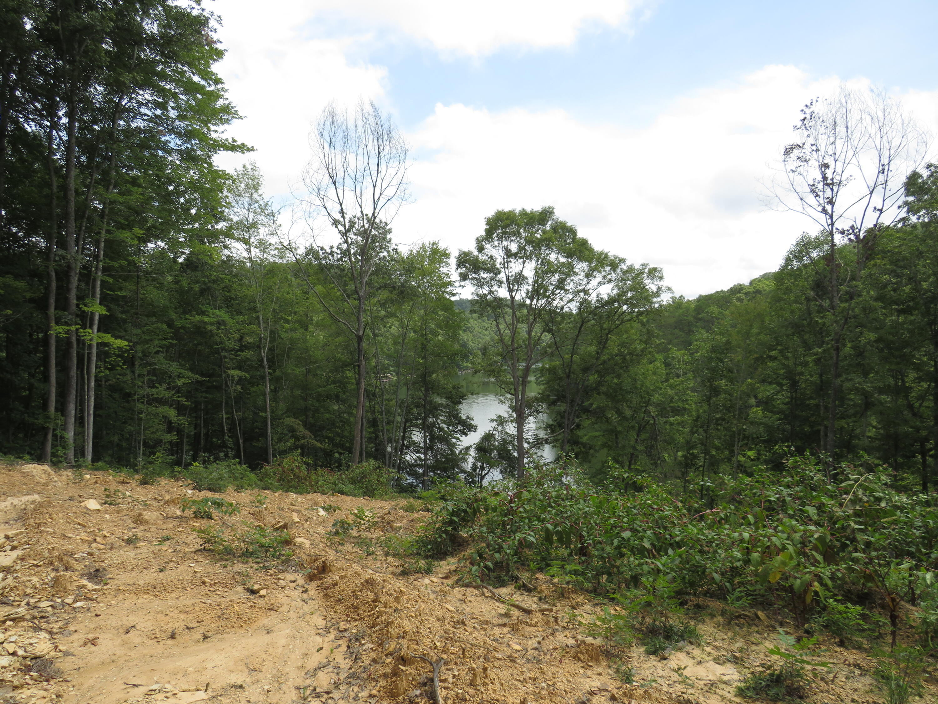 0 Chaney Ridge Road London, KY 40741 - Photo 25 of 35 IMG_4259