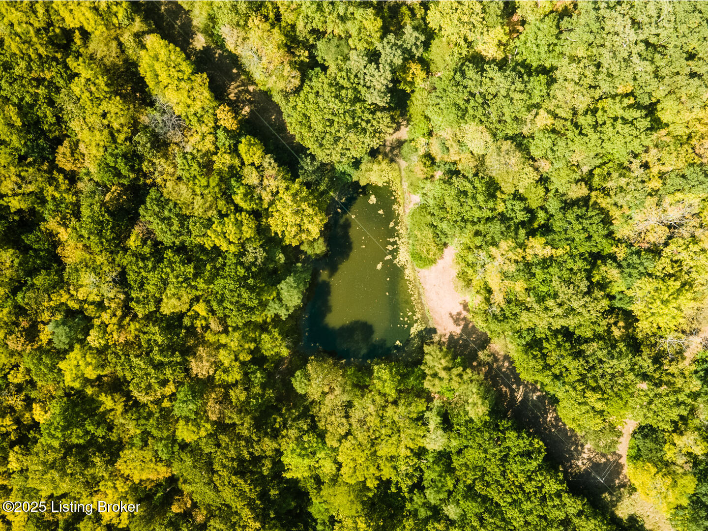 59 Vanken Ridge Road Bedford, KY 40006 - Photo 92 of 99 garrett-ackles-59-vanken-rd-drone-9