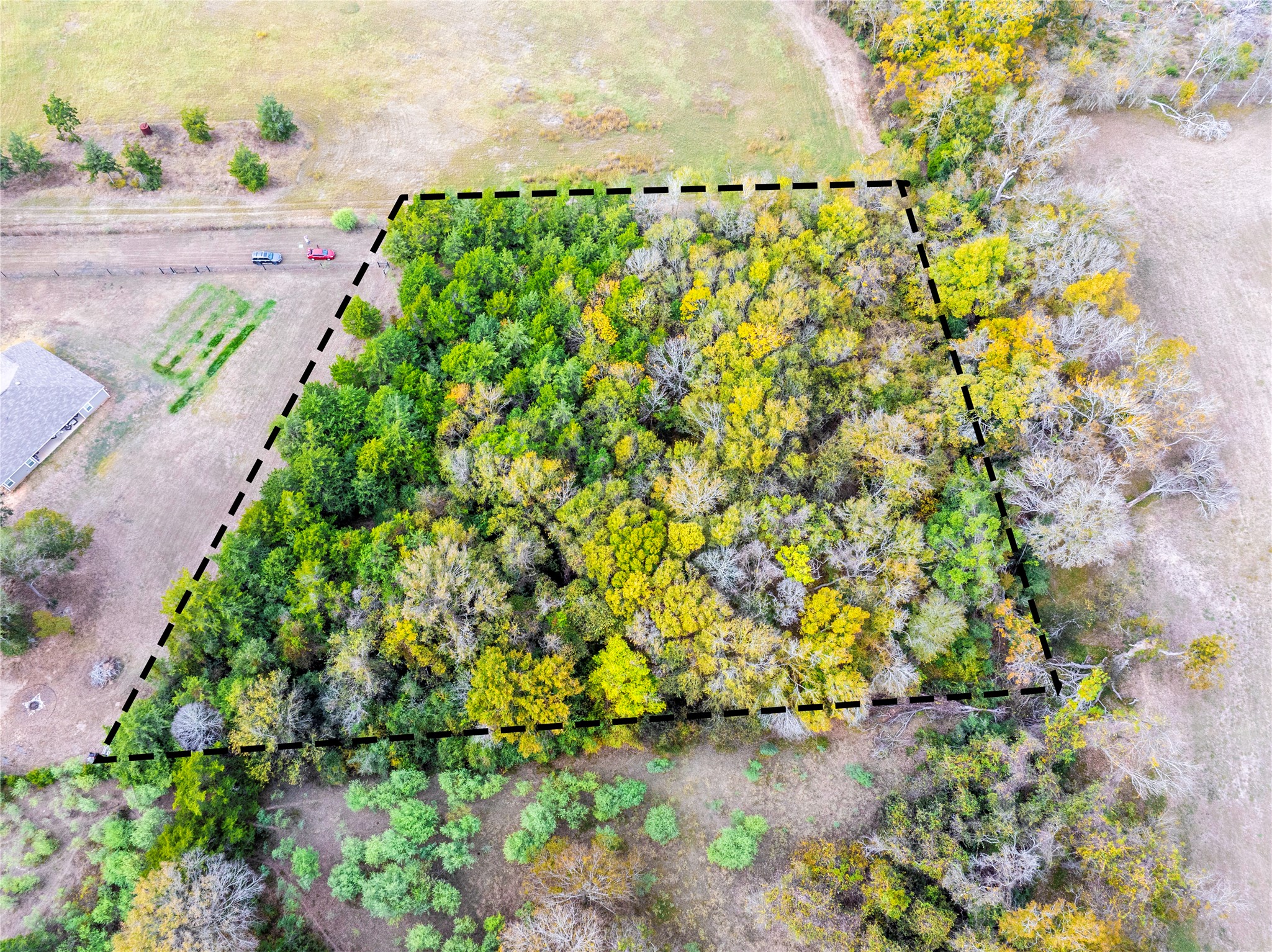 a view of a yard with a flower garden