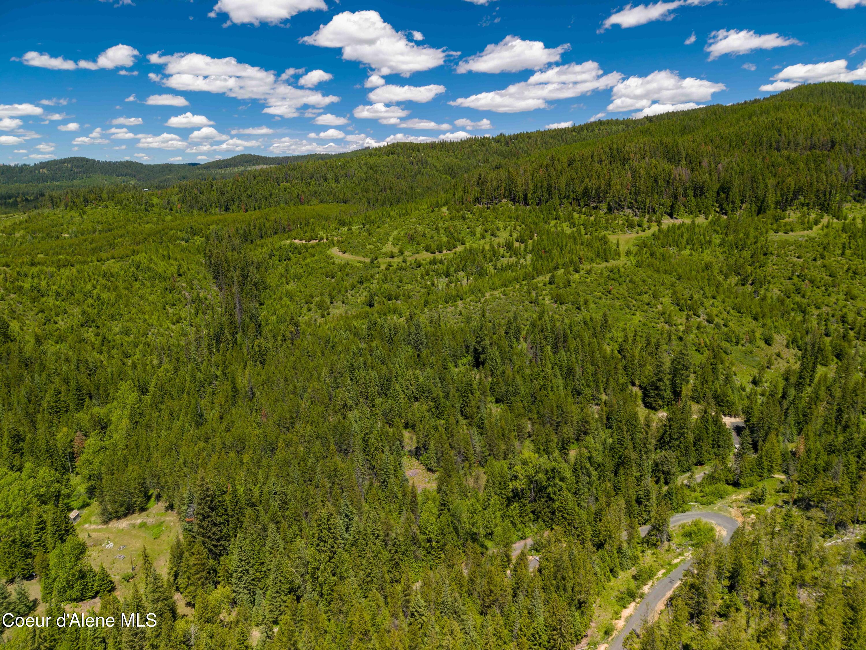 1314 Finn Creek Road Fernwood, ID 83830 - Photo 20 of 23 June 11 2026 (13 of 20)
