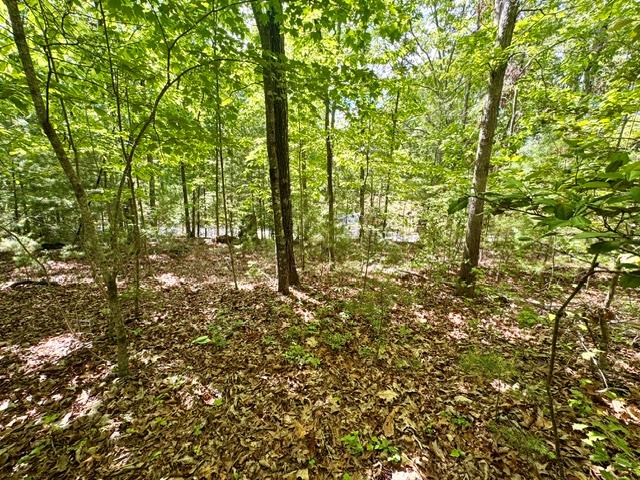 3 Rockridge Road Newtown Square, PA 19073 - Photo 10 of 13 Gallery Image 10