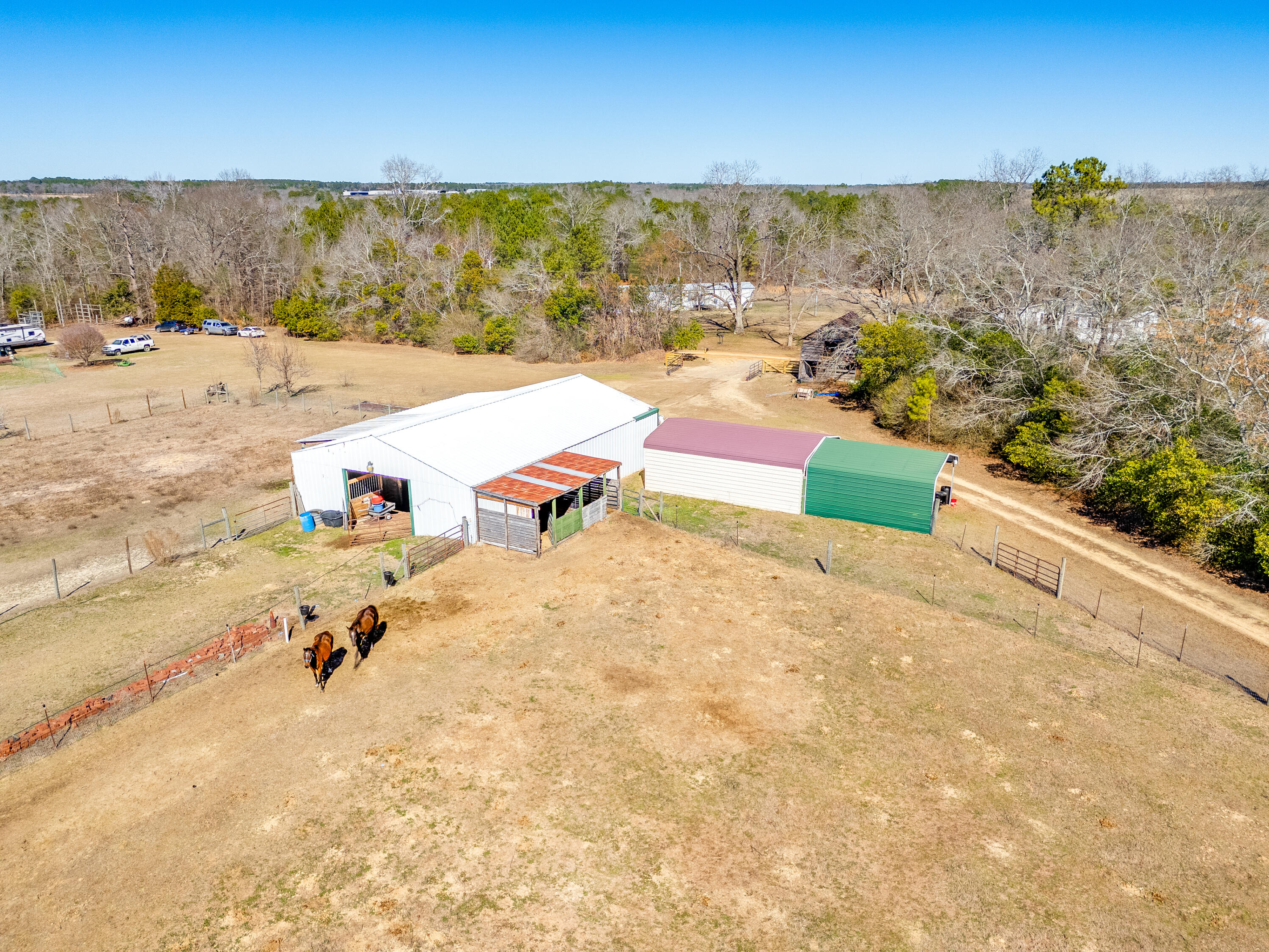 1080 Fox Young Road Wagener, SC 29164 - Photo 53 of 65