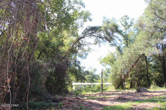 0 Northwest Hall Circle Bristol, FL 32321 - Photo 11 of 17