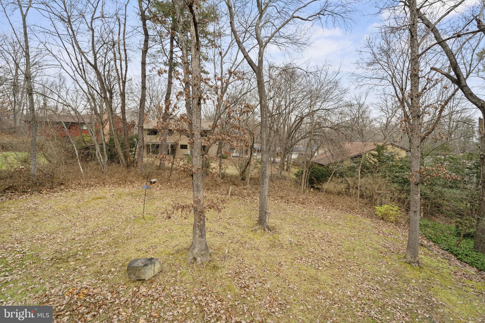 1411 Aldenham Lane Reston, VA 20190 - Photo 23 of 23