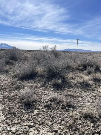 a view of a dry yard with lots of bushes