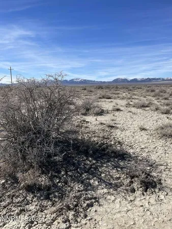 a view of a dry yard with wooden floor and fence