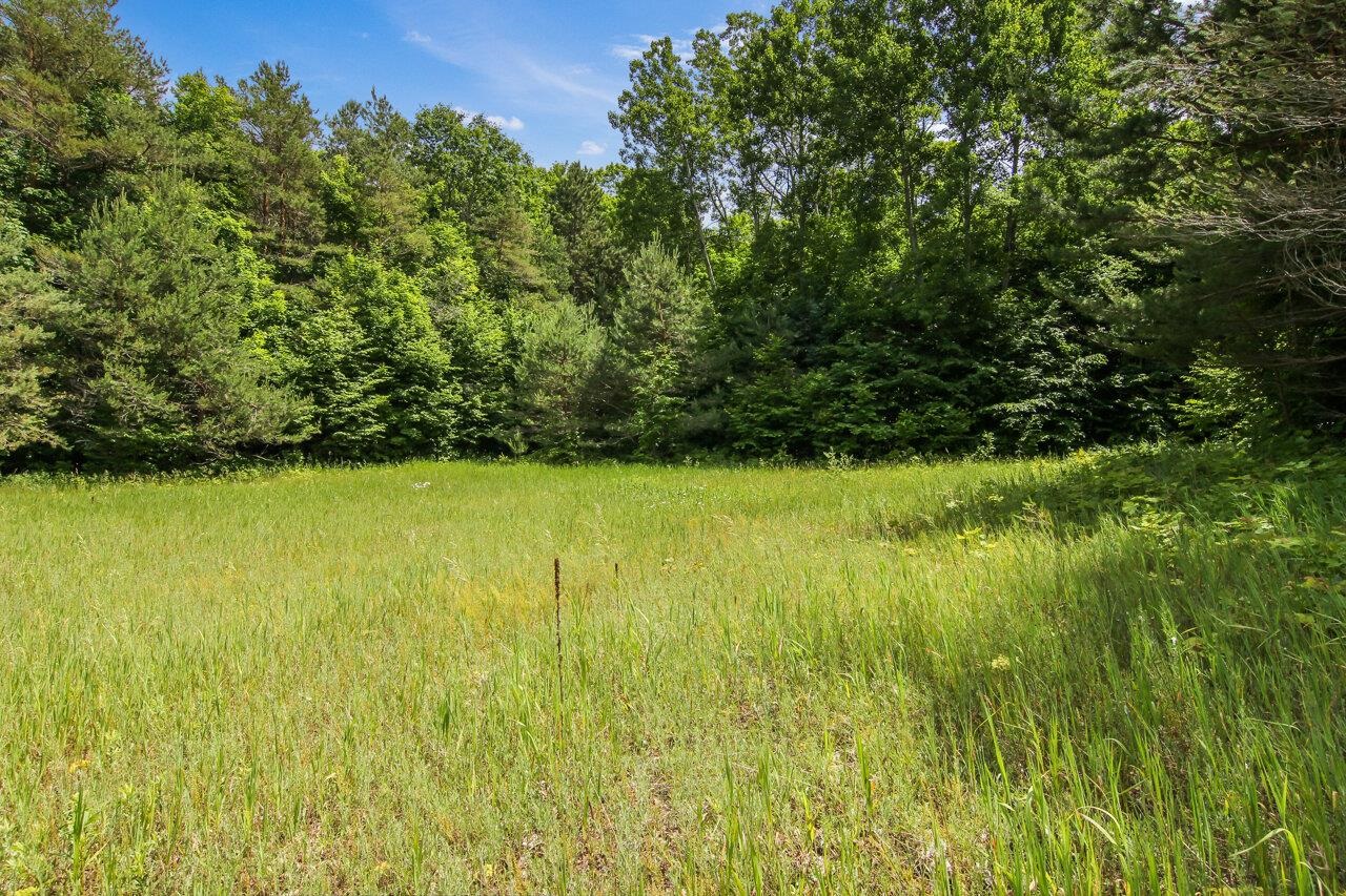 37.7-acres Miller Road Thompsonville, MI 49683 - Photo 6 of 8