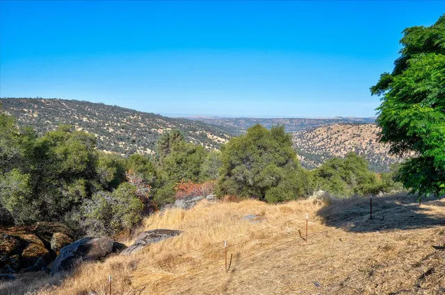 a view of a yard with a mountain