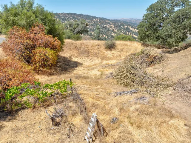 a view of a yard with trees in front of it
