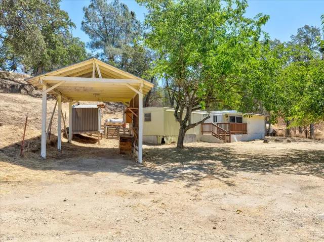 a backyard of a house with a tree