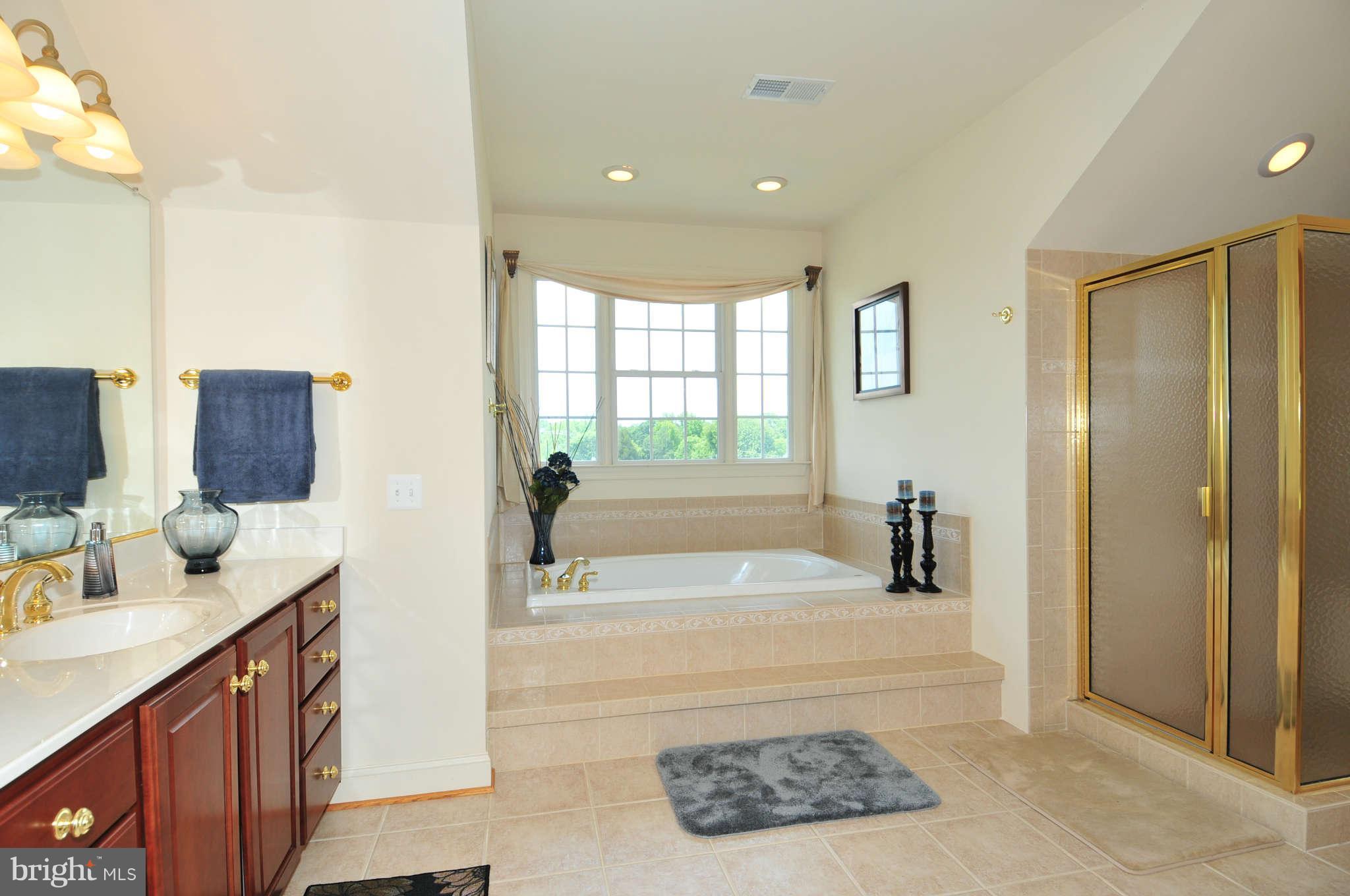 10505 Gunston Road Lorton, VA 22079 - Photo 18 of 30 Bath Master
