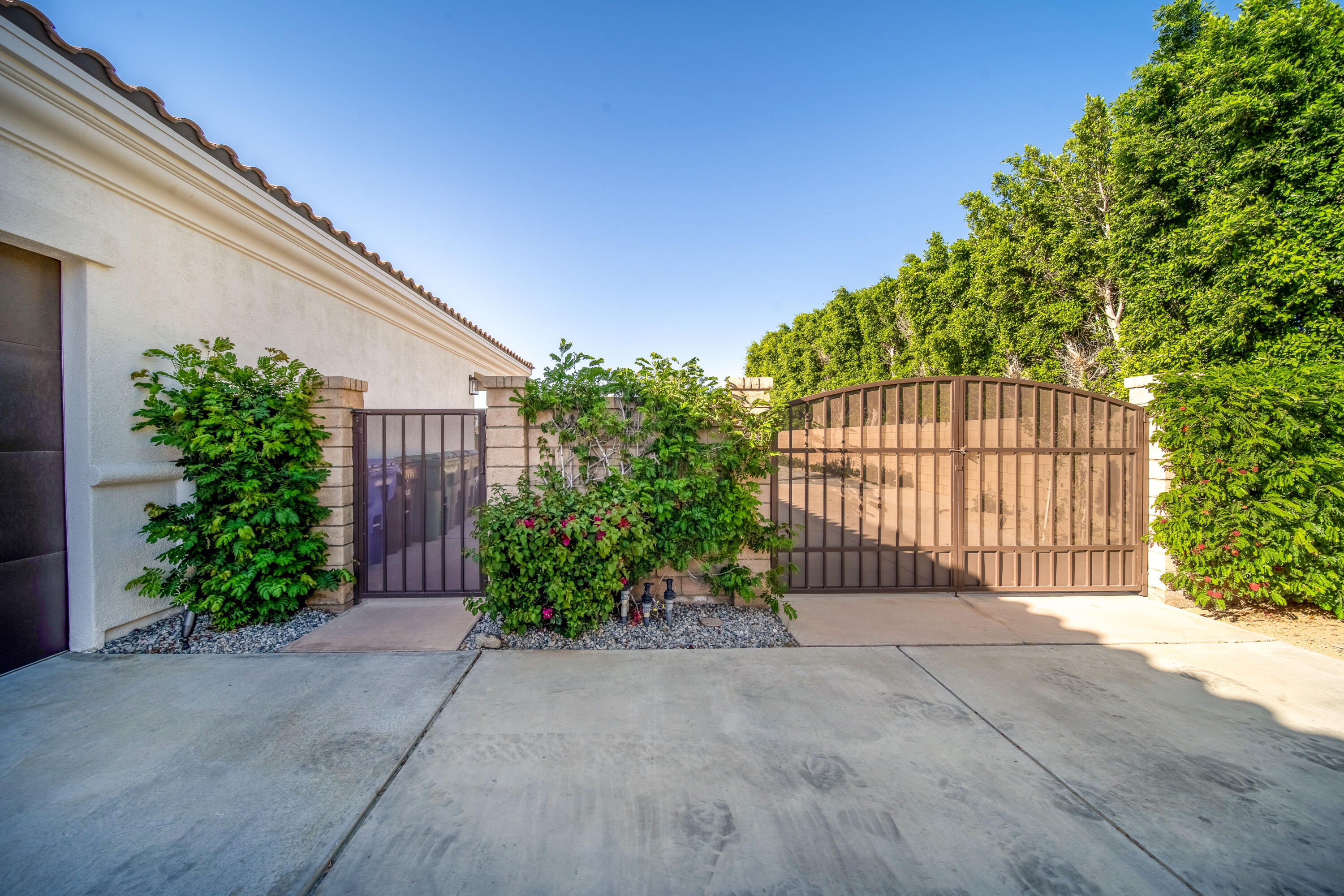 80262 Amazon Avenue Indio, CA 92201 - Photo 8 of 69 a view of a garden with plants
