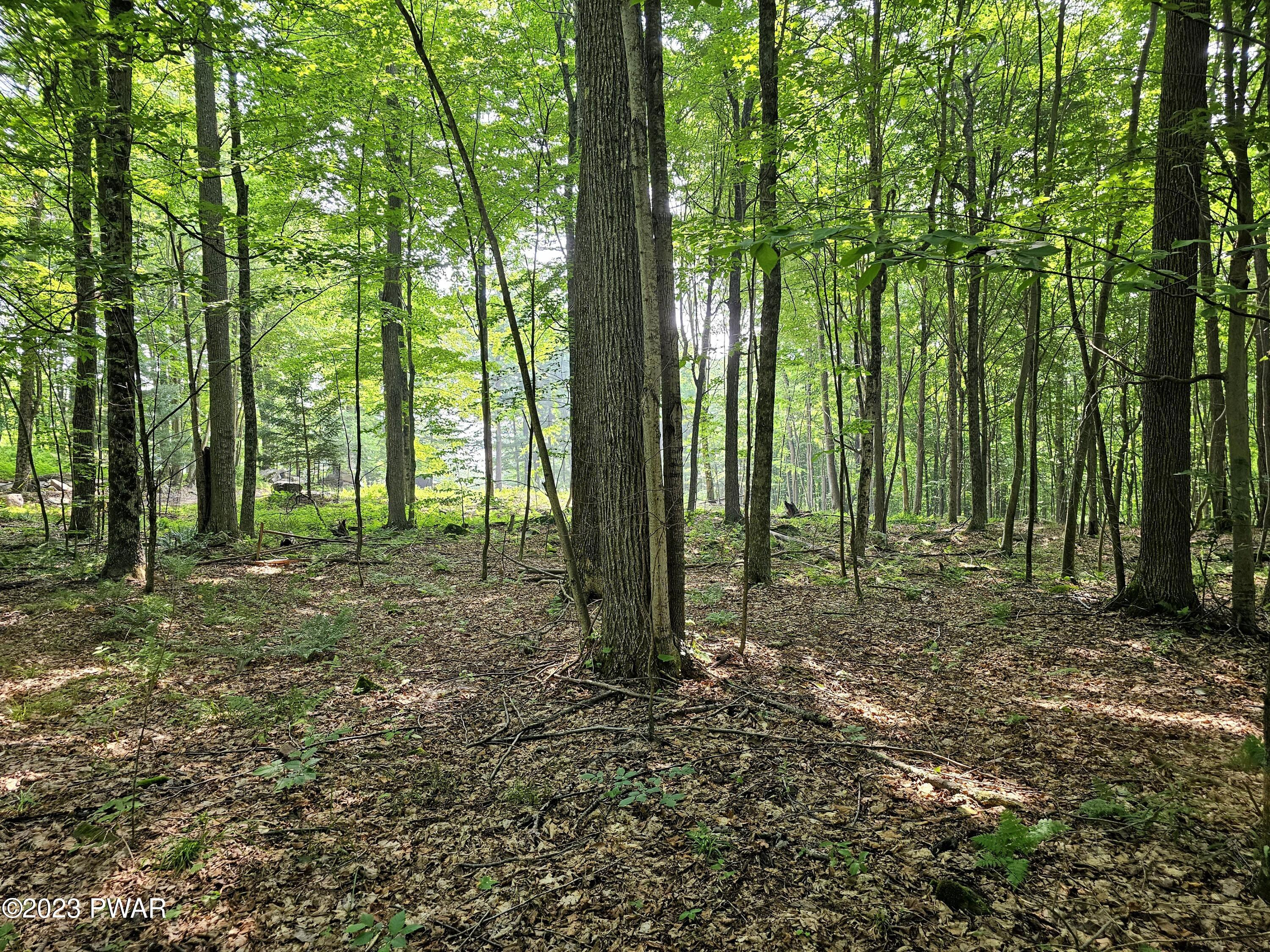 Lot 61 Rock Run Road Damascus, PA 18415 - Photo 34 of 56