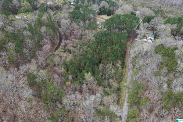 $50,000 | 0 Woodland Court, Unit 3 5 AC, Weaver, AL 36277