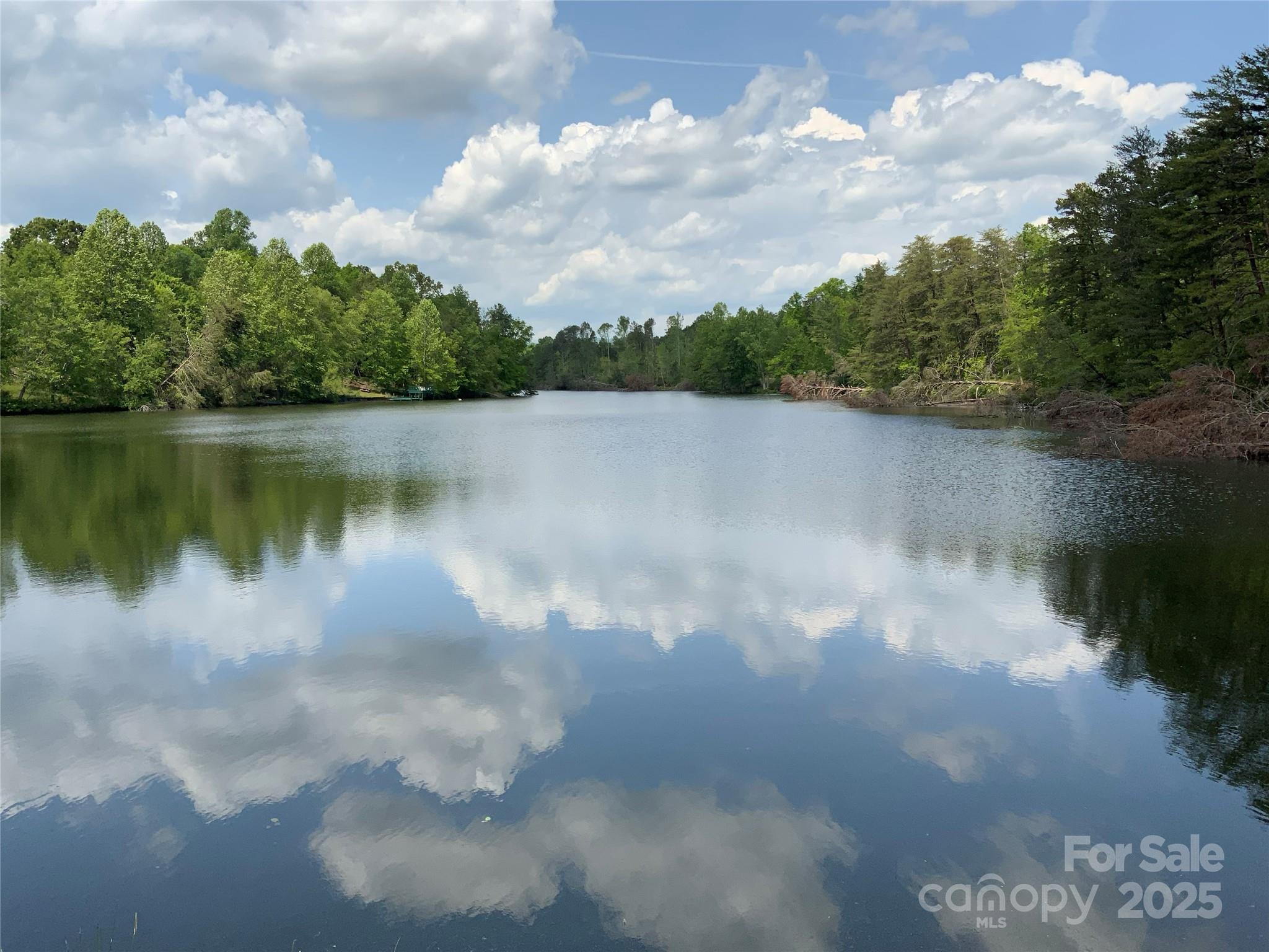 0 Navaho Trail, Unit 19 Rutherfordton, NC 28139 - Photo 2 of 11 a view of a lake from a yard