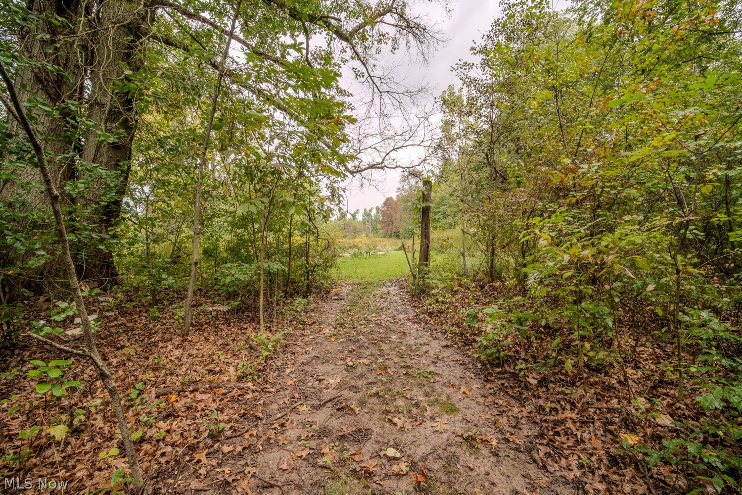 15381 German Church Road Atwater, OH 44201 - Photo 46 of 50 Gallery Image 46