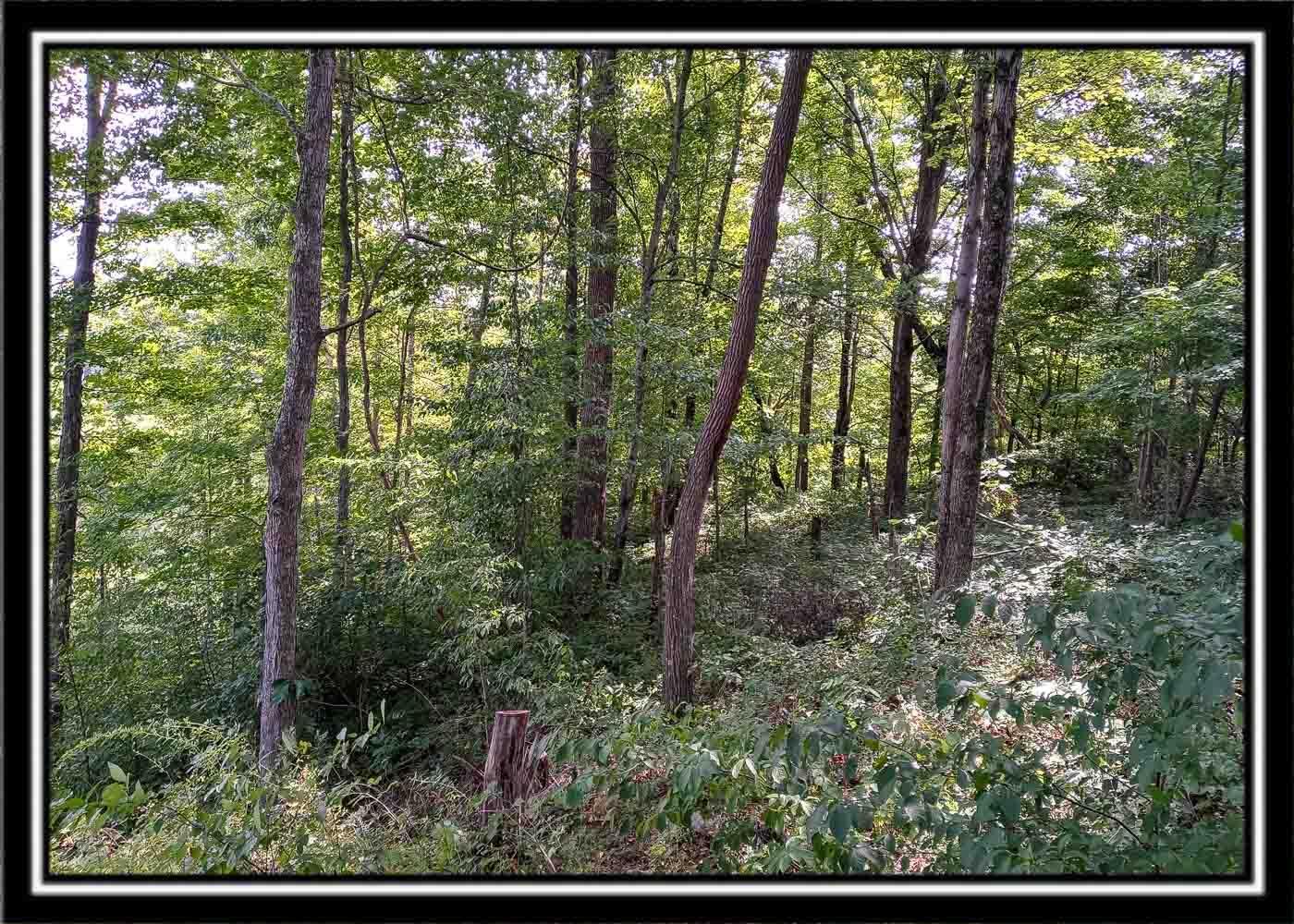 0 Hampton Hollow Road Langsville, OH 45741 - Photo 53 of 58 Hampton4-43