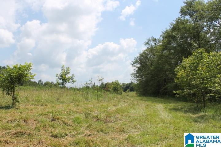 Bradford Road Lineville, AL 36266 - Photo 2 of 16