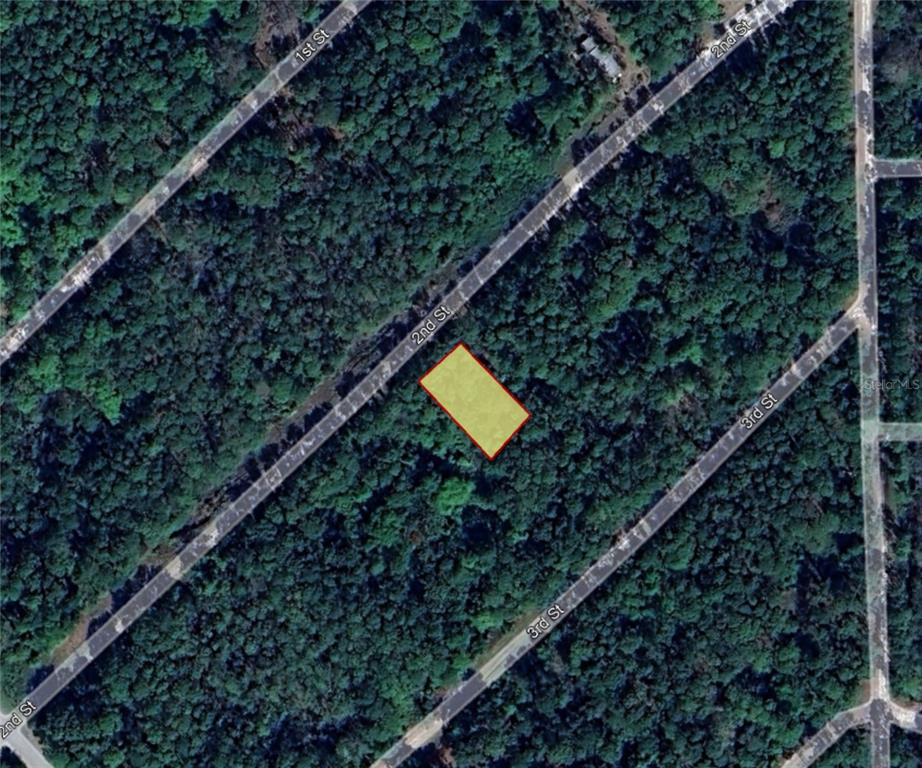 217 2nd Street Georgetown, FL 32139 - Photo 3 of 13
