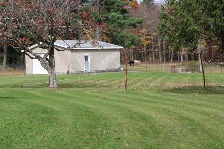 16544 Tionesta Road Pleasantville, PA 16341 - Photo 3 of 32 a view of a house with a backyard