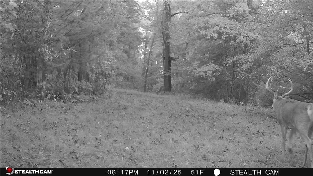 12307 Crescent Road Gilman City, MO 64642 - Photo 56 of 63