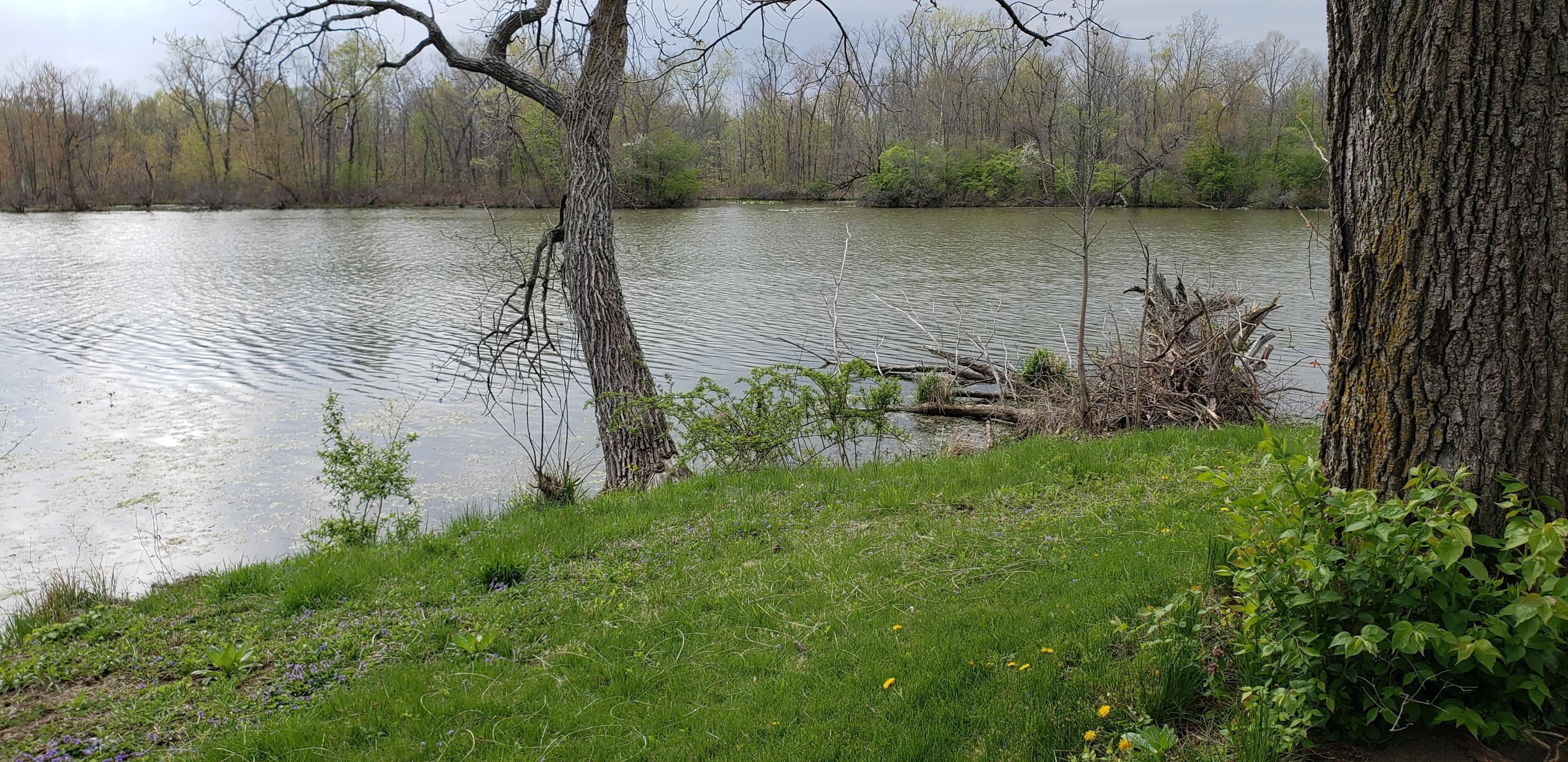 4160 Lake Road London, OH 43140 - Photo 23 of 24