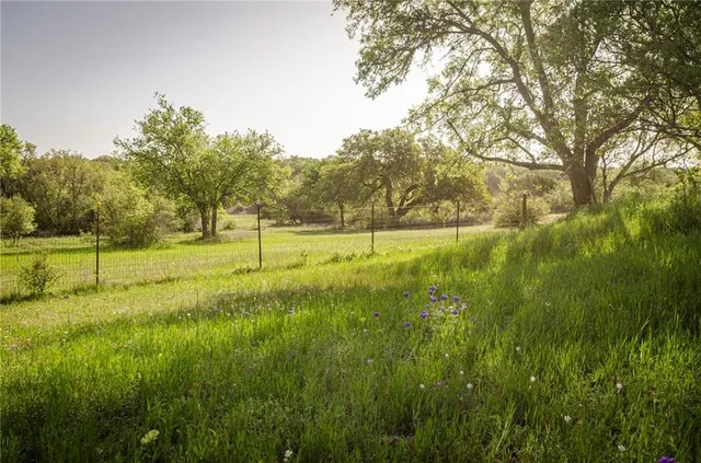 a view of a park with large trees