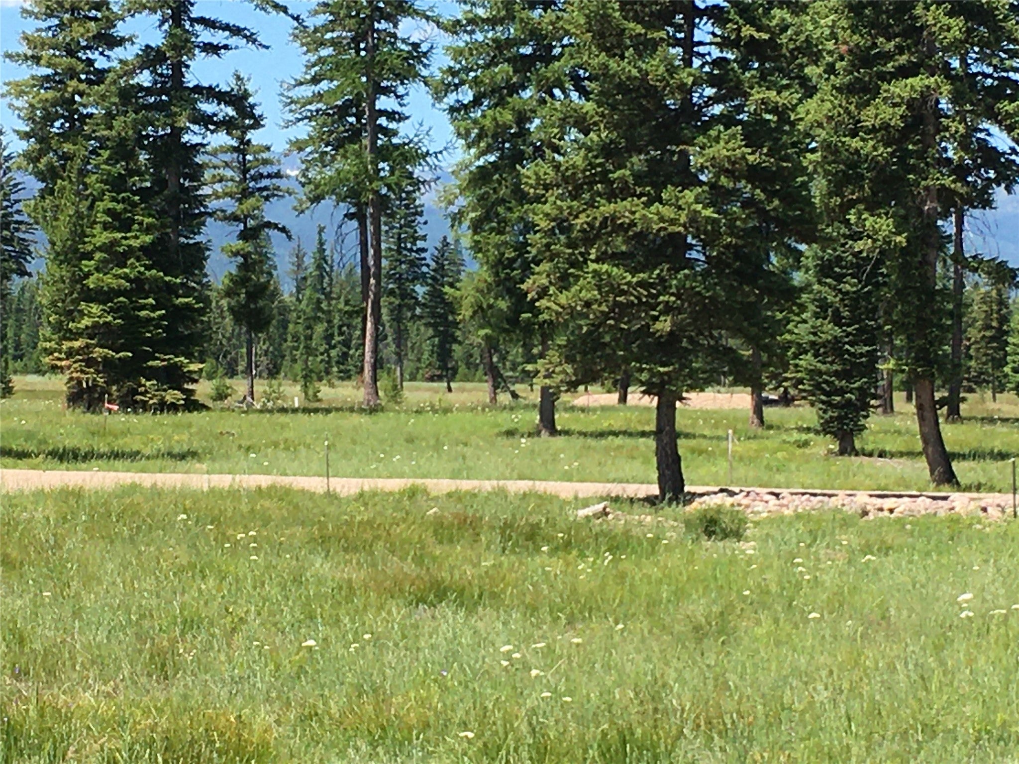 865 Remicks Road Condon, MT 59826 - Photo 21 of 23 Gallery Image 21