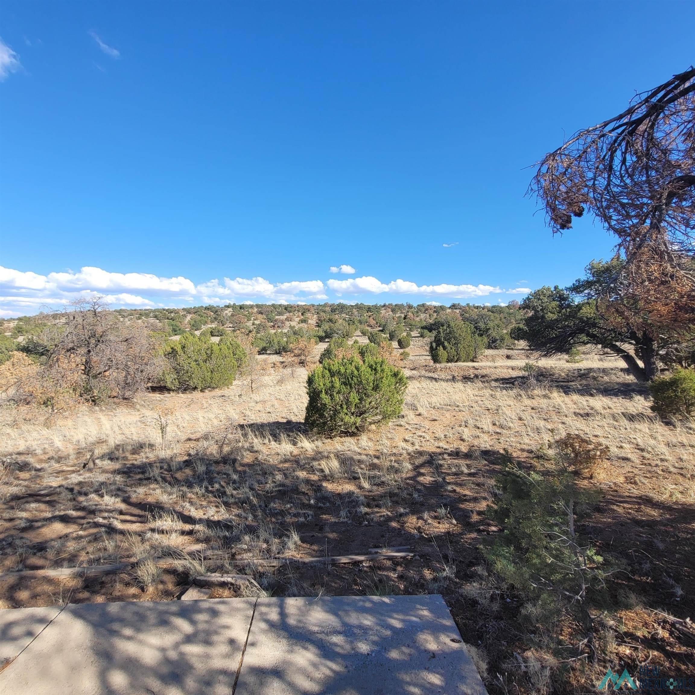 90 Lots 90 And 91 Canyon Drive Datil, NM 87821 - Photo 6 of 26 Gallery Image 6