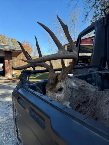 $999,950 | 1885 County Road 6255, Salem, MO 65560