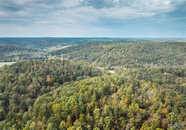 $999,950 | 1885 County Road 6255, Salem, MO 65560