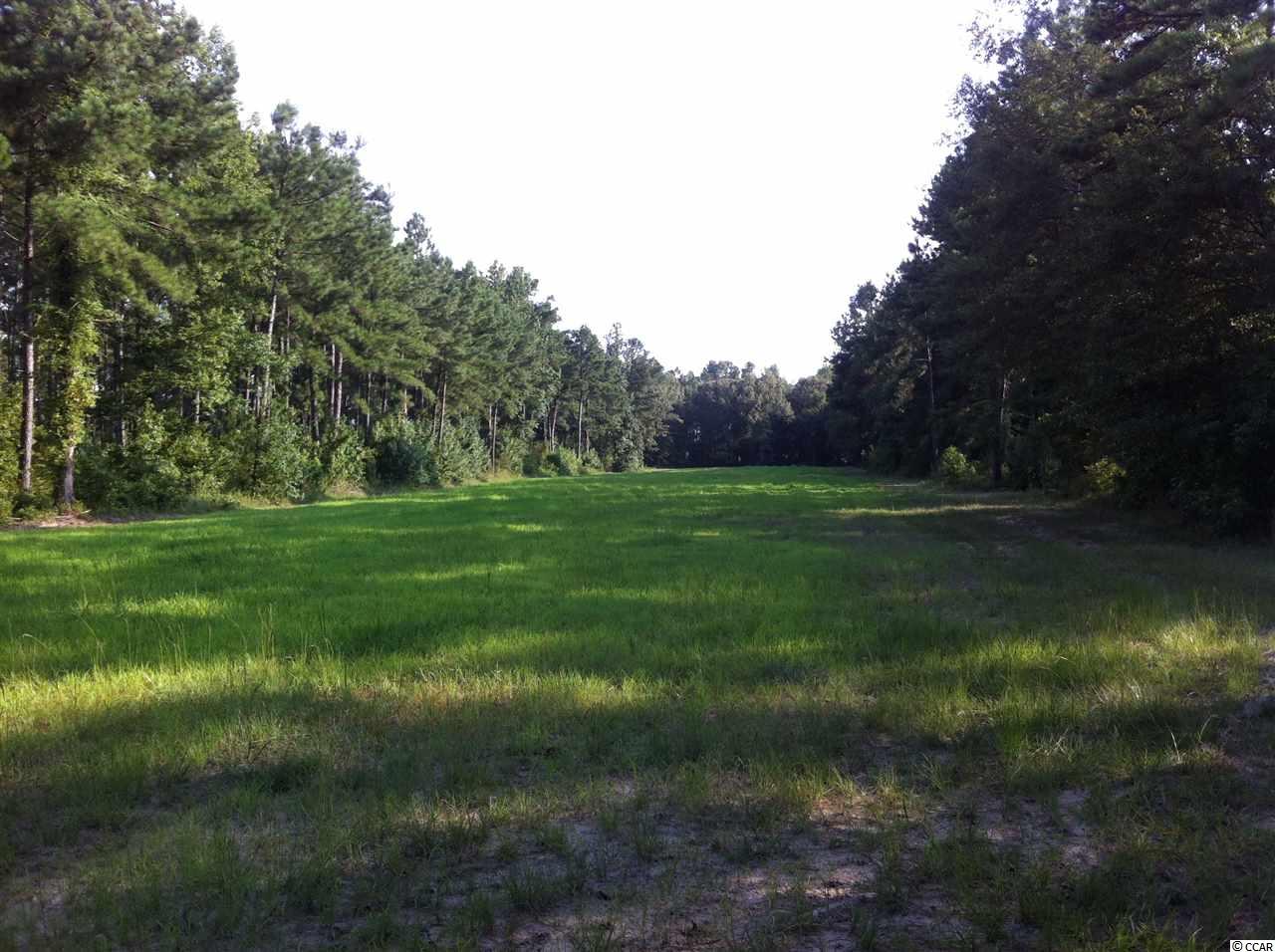 4757 Santee Road Lane, SC 29564 - Photo 11 of 11