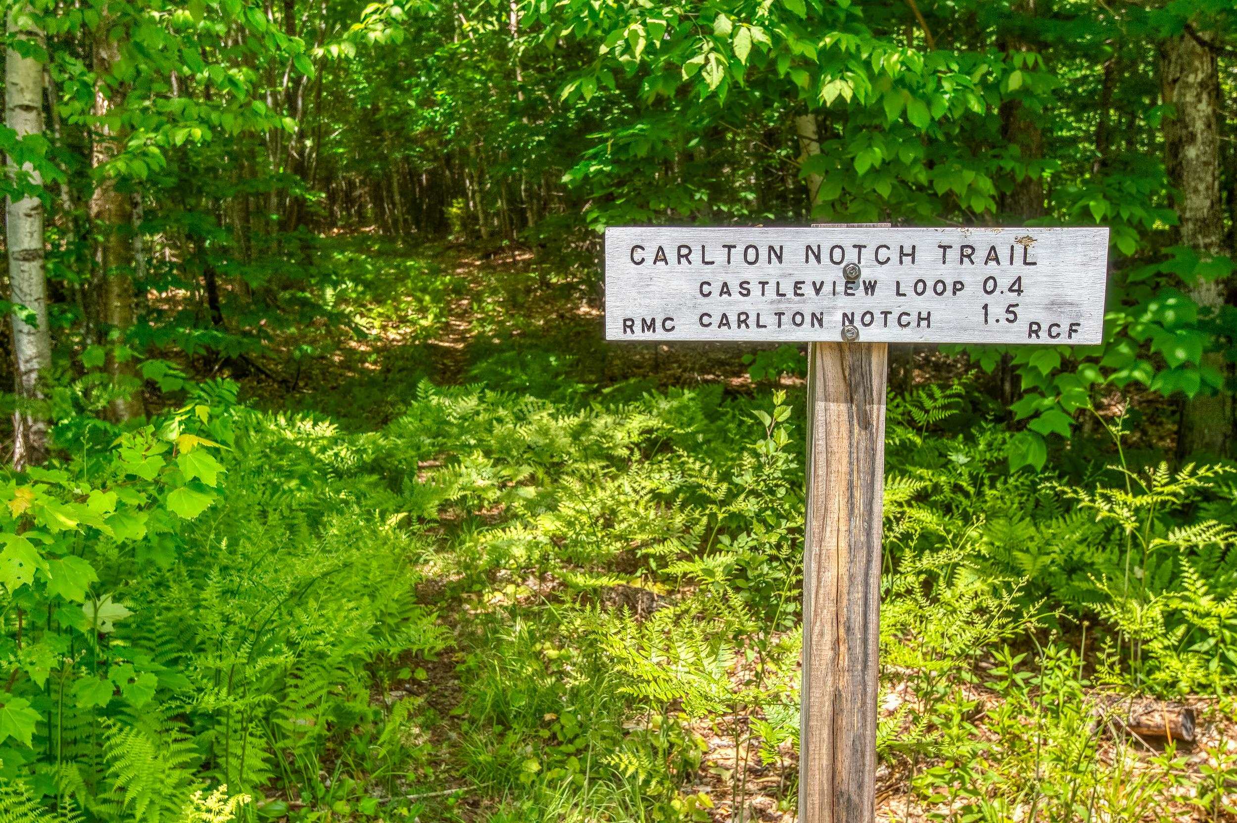 440 Randolph Hill Road Randolph, NH 03593 - Photo 23 of 32 Gallery Image 23