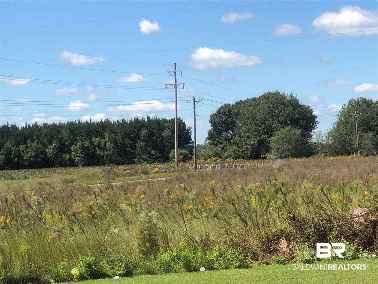 10 Jack Springs Road Atmore, AL 36502 - Photo 16 of 27
