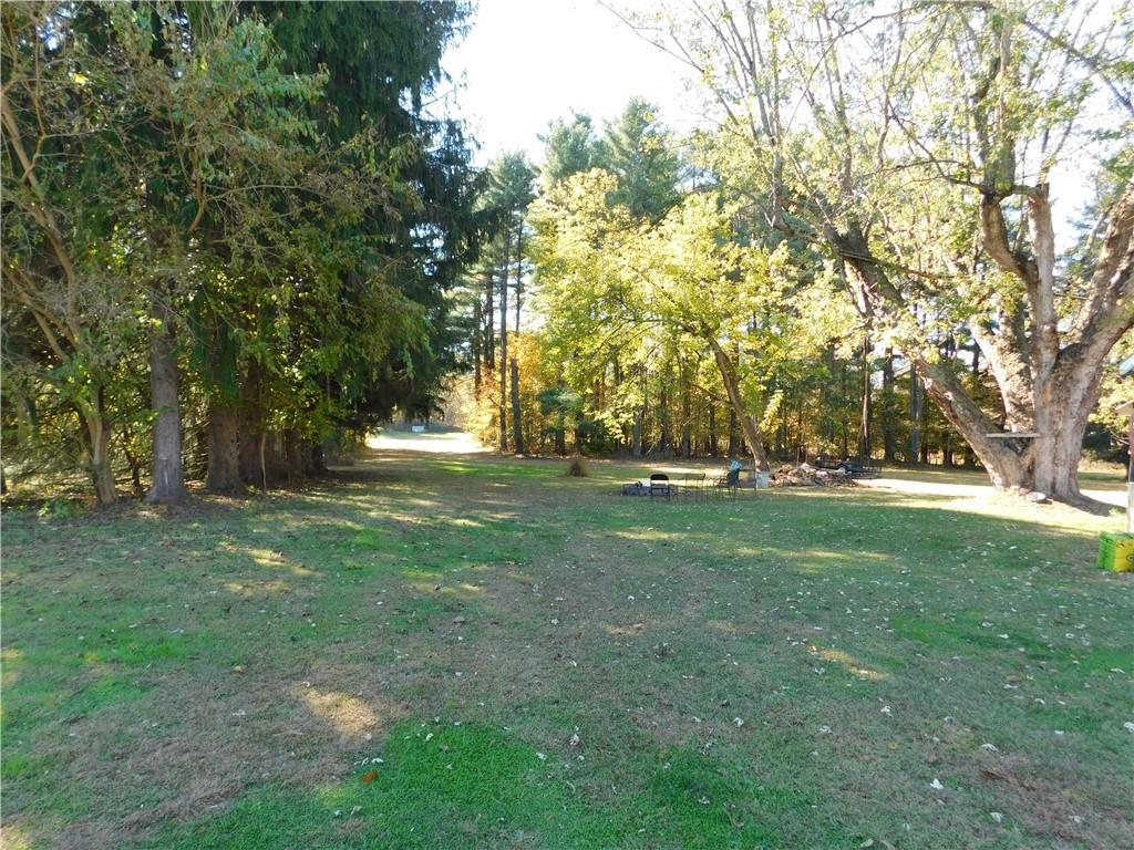 235 Ridge Road Brownsville, PA 15417 - Photo 29 of 42 a view of yard with trees