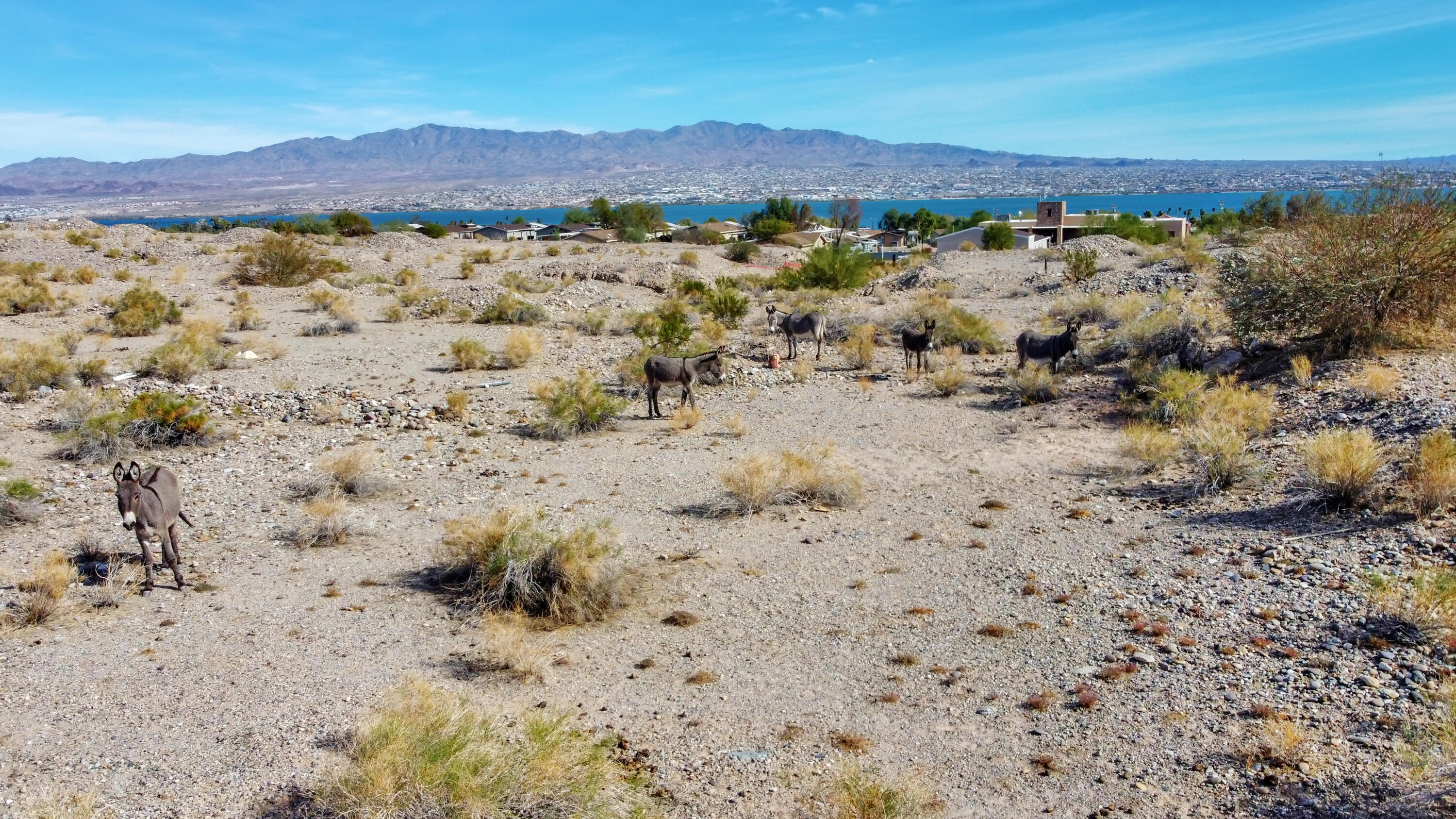 12600 Havasu Lake Road Needles, CA 92363 - Photo 72 of 83 dji_0109.jpeg-FULL