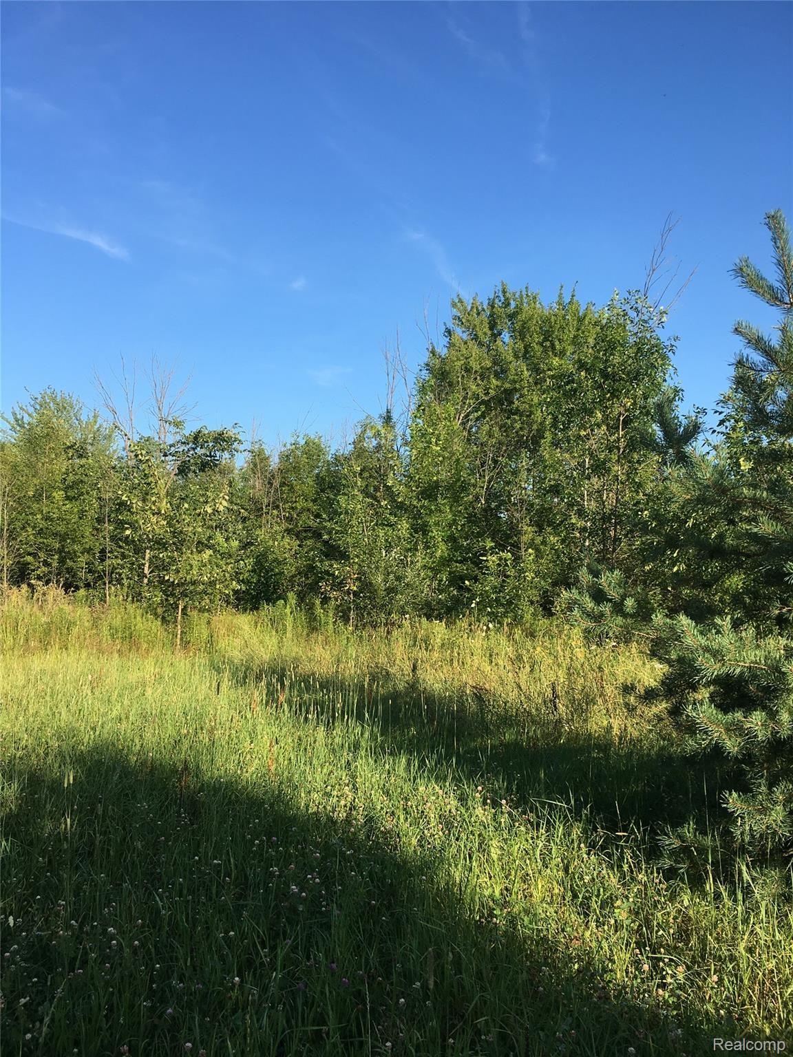 8311 North Jennings Road Mount Morris, MI 48458 - Photo 34 of 45 field.jpg